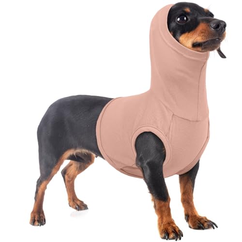 PUMYPOREITY Hundekopfverband für Ohrhämatome, Katzen Schutzanzug Kopfverband Hunde schal Ohrenschutz Hunde Shirts Katzenbody Nach Op(Hautrosa, XS) von PUMYPOREITY