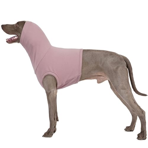 PUMYPOREITY Op Body Hund Hals, Erholungsanzug Hund Wundschutzanzug Hund Ohren Op Anzug Hund Kapuzenpullover Head Cover für Hund Schulter Bandage Hunter Hundepullover(Lila, 2XL) von PUMYPOREITY