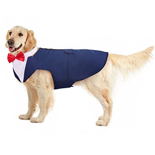 Hund Smoking Anzug, Hunde Fliege Hochzeit Formelles Hunde-Smoking-Bandana Hund Hochzeit Outfit Hunde Geburtstag Hunde Kleidung für Weihnachten(Blau, XXL) von PUMYPOREITY