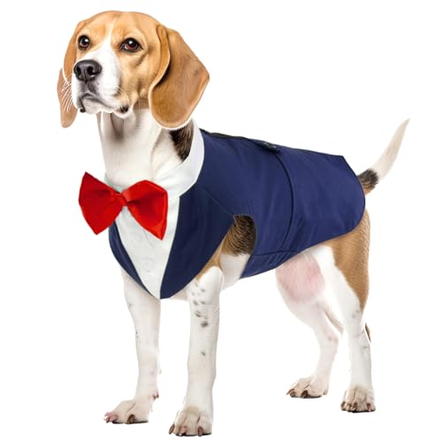 Hund Kleidung Tuxedo, Haustier Mantel Formale Hochzeit Verkleidungen & Kostüme für Hunde Chihuahua Kostüm Formelles Hunde-Smoking(Blau, L) von PUMYPOREITY