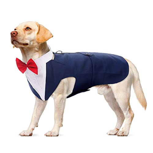Hund Smoking Anzug, Hunde Fliege Hochzeit Formelles Hunde-Smoking-Bandana Hund Hochzeit Outfit Hunde Geburtstag Hunde Kleidung für Weihnachten(Blau, XL) von PUMYPOREITY