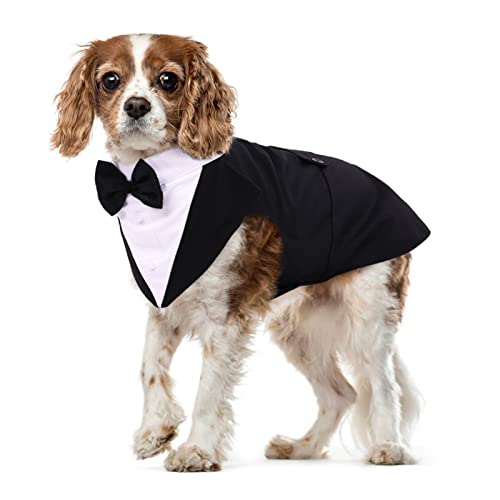 Hund Hochzeit Anzug, Smoking-Kostüme Formelle Party-Outfits Shirt Hund Kleidung Tuxedo Hundefliege Hochzeit mit Abnehmbarem Schleife Bandana für Kleine, Mittlere und Große Hunde(Schwarz, M) von PUMYPOREITY