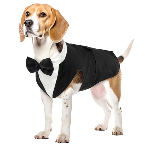 Hund Hochzeit Anzug, Smoking-Kostüme Formelle Party-Outfits Shirt Hund Kleidung Tuxedo Hundefliege Hochzeit mit Abnehmbarem Schleife Bandana für Kleine, Mittlere und Große Hunde(Schwarz, L) Hund Hochzeit Anzug, Smoking-Kostüme Formelle Party-Outfits Shirt Hund Kleidung Tuxedo Hundefliege Hochzeit mit Abnehmbarem Schleife Bandana für Kleine, Mittlere und Große Hunde(Schwarz, L) von PUMYPOREITY