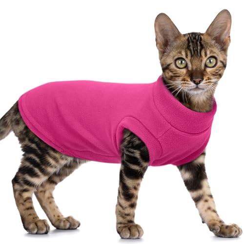 PUMYPOREITY Fleece-Katzenweste, dickes Winterhemd, Kaltwetterkleidung, weicher Mantel, Pullover für Katzen, Rosa, Größe L PUMYPOREITY Fleece-Katzenweste, dickes Winterhemd, Kaltwetterkleidung, weicher Mantel, Pullover für Katzen, Rosa, Größe L von PUMYPOREITY