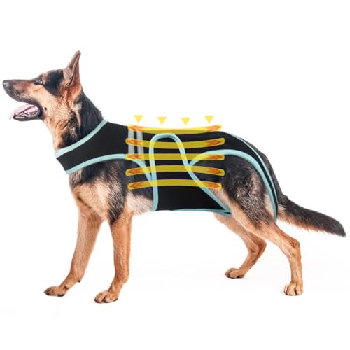 PUMYPOREITY Hunde-Rückenstützgeschirr, Verstellbare Rückenstütze für Arthritis Bei Hunden, Haustier-Rückenbandage für IVDD, Chirurgische Wiederherstellung der Wirbelsäule, Bandscheibenvorfall(3XL) von PUMYPOREITY