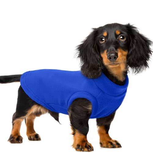 PUMYPOREITY Hunde- und Katzenpullover aus Fleece, Größe M, Dunkelblau, Größe XXL PUMYPOREITY Hunde- und Katzenpullover aus Fleece, Größe M, Dunkelblau, Größe XXL von PUMYPOREITY