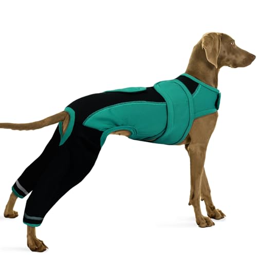 PUMYPOREITY Hundebody, Op Body Kastration Hündin Body Operation Rüde Op Body mit Beinen Liegeschwielen Hund Leckschutz Hinterbeine Kniebandage Verband Bein(Grün, M) von PUMYPOREITY