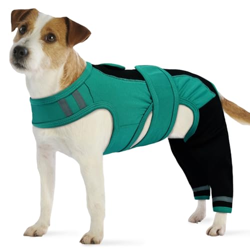 PUMYPOREITY Hundebody mit Beinen, Hundebody Hinterbeine Hunde Op Body Rüde Bandage Hinterbeine Hundeschenkel Schutz(Grün, S) von PUMYPOREITY