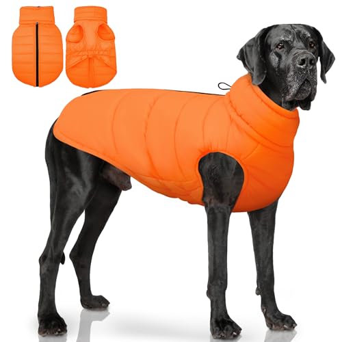 PUMYPOREITY Hundemantel mit abnehmbarem Schal, warm gepolstert, für kaltes Wetter, winddicht, leicht, Schneeanzug, wasserabweisend, Thermo-Winterjacke für kleine, mittelgroße und große Hunde von PUMYPOREITY