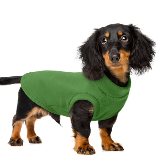 PUMYPOREITY Hundepullover, Fleece-Weste, mittelgroße Hundepullover, weicher Hunde-Wintermantel, kaltes Wetter, Haustierpullover für Hunde und Katzen, Grün, Größe XXL von PUMYPOREITY