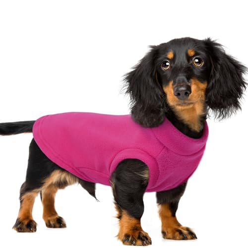 PUMYPOREITY Hundepullover - Weiche Fleece-Weste für Hunde & Katzen, Rose Pink, 2XL PUMYPOREITY Hundepullover - Weiche Fleece-Weste für Hunde & Katzen, Rose Pink, 2XL von PUMYPOREITY