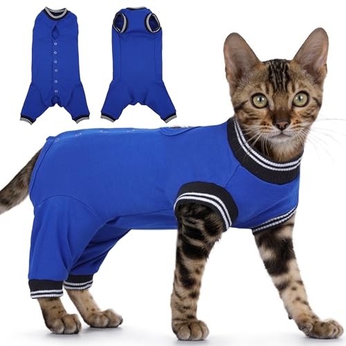 PUMYPOREITY Katzen-Genesungsanzug für Hinterbeine, chirurgischer Katzen-Spay-Anzug mit Beinmanschetten, um Lecken zu stoppen, lange hintere Ärmel, Wundabdeckung, Bauch, Kätzchen, Einteiler, Blau PUMYPOREITY Katzen-Genesungsanzug für Hinterbeine, chirurgischer Katzen-Spay-Anzug mit Beinmanschetten, um Lecken zu stoppen, lange hintere Ärmel, Wundabdeckung, Bauch, Kätzchen, Einteiler, Blau von PUMYPOREITY