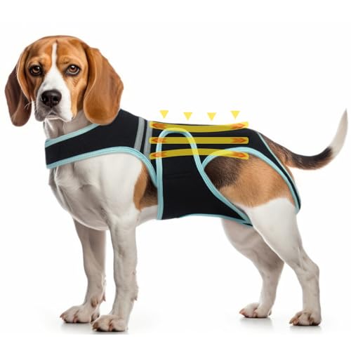 Rückenstütze Hunde, Hüftbandage Atmungsaktive Haustierrückenbandage Rückenschutz Stützgeschirr Hunde Arthritis, Chirurgische Genesung Rehabilitation, Reflektierende Geschirr zur Unterstützung(XL) von PUMYPOREITY
