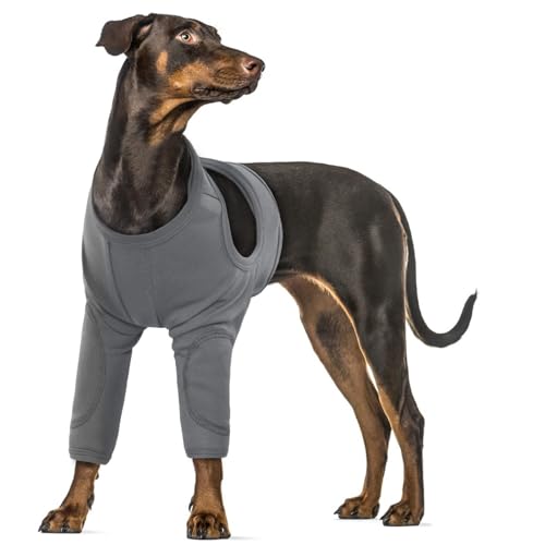 Recovery Sleeve Hund, Ellenbogenbandage Hund Ellbogenschoner für Hunde Chirurgie Erholung Recovery Sleeve Hundebody Nach Op Ellenbogenschutz Für Hunde Kegelhalsband Alternative(Grau, 2XL) von PUMYPOREITY