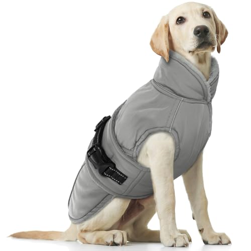 Hundemantel XL, Hundemantel Grosse Hunde Winterjacke Hund Fleece Hundepullover Warme Hundeweste Hundemantel Winter Hundejacke(Grau, XL) von PUMYPOREITY