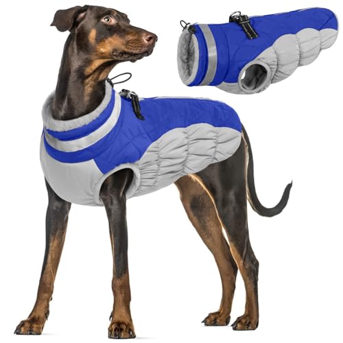 Wasserdichter Hundemantel, Winter Warme Hundejacke Winddicht Hundepullover Outdoor Hundebekleidung Winter Outfit(Blau, XL) von PUMYPOREITY