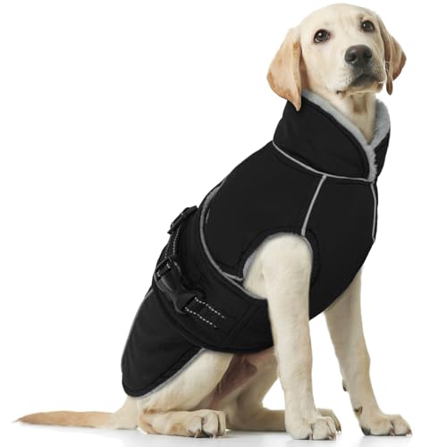 Wasserdichter Hundemantel, Winter Warme Hundejacke Winddicht Hundepullover Outdoor Hundemantel Hundebekleidung Winter Outfit für Hunde(Schwarz, L) von PUMYPOREITY