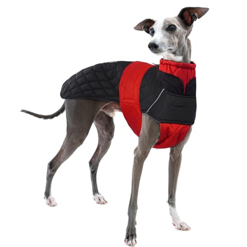 Whippet Wintermantel, Wasserdichter Mantel für Whippets Whippet Pullover Whippet Winter Hundebekleidung Winddichter Whippet Mäntel mit Reflexstreifen(Orange, XS) von PUMYPOREITY