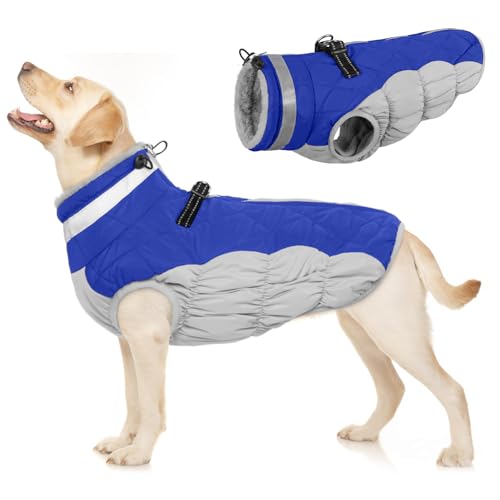 Winterjacken & Wintermäntel für Hunde, Hundemantel Fleece Wintermantel Hund Mittelgroß Hundejacke mit Geschirr Hundeanzug Winter(Blau, M) von PUMYPOREITY