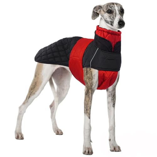 wasserdichte Salukis Mäntel, Hundepullover Fleece Windhund Jacke Schneeanzug Windhund Winter Outfit Hundemantel Windhund Reflektierend(Rot, 2XL) von PUMYPOREITY