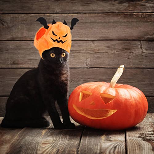 PUNELE Halloween Katze Hund Cosplay Fledermaus Hut Niedliches Haustier Cosplay Party Kostüm Katze Hund Dress Up Fledermaus Hut (Orange) von PUNELE