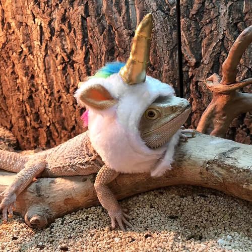 PUNELE Haustier Echsenkostüm, Hut Weich Niedliches Lustiges Kleines Haustier Halloween Kopfbedeckung für Gecko Amphibien Frettchen Hamster von PUNELE