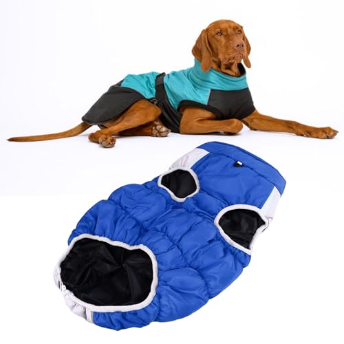 PUNELE Hundemantel Mit Geschirr, Hundejacke Winter, Hundemantel Wasserdicht, Reflektierende Hundemantel Baumwolle Verdickte Bequeme Winddichte wasserdichte Hund Warme Jacke (XL) von PUNELE