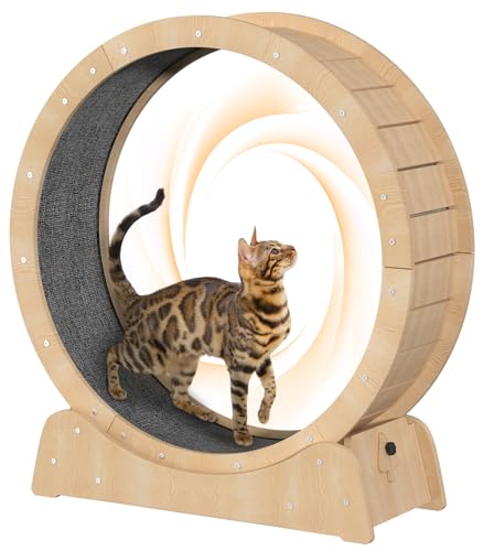 PUPIHOM Katzenlaufräder PUPIHOM Katzenlaufräder von PUPIHOM
