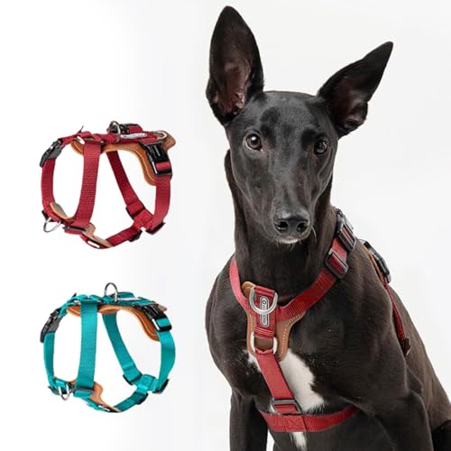 PUPIHOM Verstellbares Nylon-Hundegeschirr mit PU-Polsterung, reflektierendes Design, kein Ziehen, bequem und langlebig, Haustiergeschirr zum Spazierengehen, Rot, Größe L PUPIHOM Verstellbares Nylon-Hundegeschirr mit PU-Polsterung, reflektierendes Design, kein Ziehen, bequem und langlebig, Haustiergeschirr zum Spazierengehen, Rot, Größe L von PUPIHOM