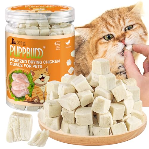 Gefriergetrocknete Snacks für Katzen und Hunde, Knuspriger Katzensnack mit Huhn Katzen Leckerlies, Freeze Dried Chicken Treats Gefriergetrocknete Snacks für Katzen und Hunde, Knuspriger Katzensnack mit Huhn Katzen Leckerlies, Freeze Dried Chicken Treats von PUPPBUDD