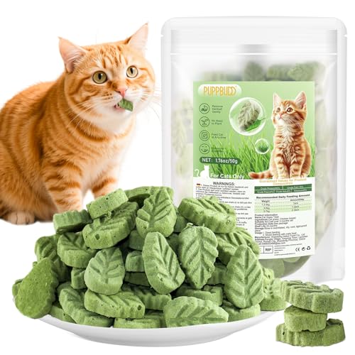 Katzengras Snacks, Gefriergetrocknet Katzengras für Katzen, 50g Katzengras Fertig Gewachsen für die Zahnpflege, Katzengras Sticks Haarknäuel Entfernen von PUPPBUDD
