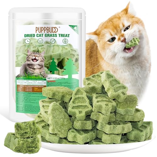 100g Katzengras Snacks, Gefriergetrocknet Katzengras für Katzen, Katzengras Fertig Gewachsen für die Zahnpflege, Katzengras Sticks Haarknäuel Entfernen von PUPPBUDD