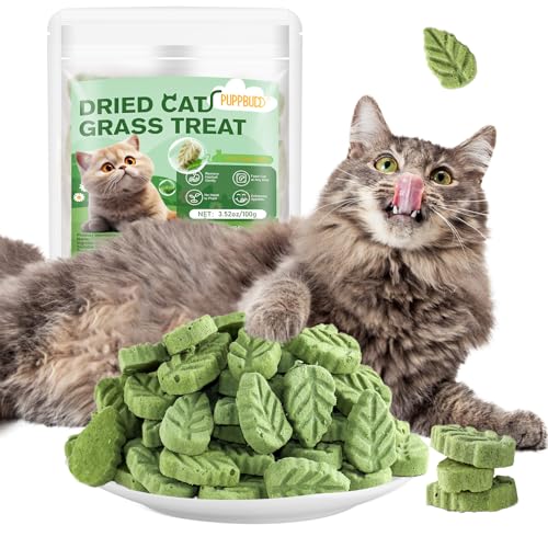 Katzengras Snacks, Gefriergetrocknet Katzengras für Katzen, 100g Katzengras Fertig Gewachsen für die Zahnpflege, Katzengras Sticks Haarknäuel Entfernen von PUPPBUDD