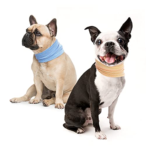 PUPTECK Coole Halstücher für kleine, mittelgroße und große Hunde, buntes Lätzchen, kühlt schnell, weich und bequem, mit klassischem Karomuster, 2 Stück von PUPTECK