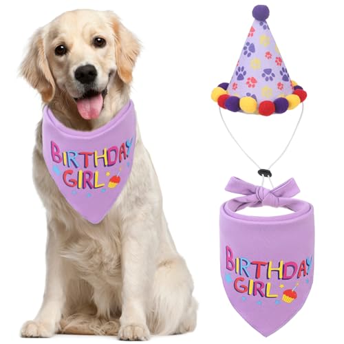 PUPTECK Hunde-Geburtstags-Halstuch, Schal mit niedlichem Partyhut, Kostümdekoration für kleine, mittelgroße und große Hunde, Jungen, Mädchen, Outfit-Geschenke, Violett PUPTECK Hunde-Geburtstags-Halstuch, Schal mit niedlichem Partyhut, Kostümdekoration für kleine, mittelgroße und große Hunde, Jungen, Mädchen, Outfit-Geschenke, Violett von PUPTECK