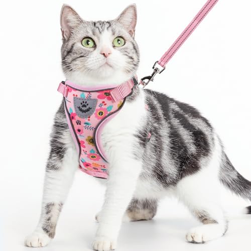 PUPTECK Katzengeschirr und Leine Set Escape Proof Reflective Cat Walking Harness Adjustable Soft Breathable Mesh Vest for Small Pets, Pink Flowers, M PUPTECK Katzengeschirr und Leine Set Escape Proof Reflective Cat Walking Harness Adjustable Soft Breathable Mesh Vest for Small Pets, Pink Flowers, M von PUPTECK