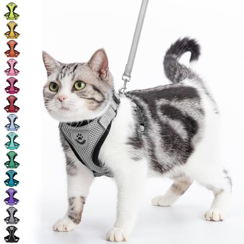 PUPTECK Katzengeschirr und Leine Set Flucht Beweis Reflektierende Katze Walking Geschirr Einstellbare weiche atmungsaktive Mesh-Weste für kleine Haustiere, Grau, M PUPTECK Katzengeschirr und Leine Set Flucht Beweis Reflektierende Katze Walking Geschirr Einstellbare weiche atmungsaktive Mesh-Weste für kleine Haustiere, Grau, M von PUPTECK