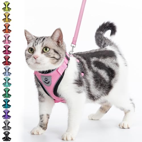 PUPTECK Katzengeschirr und Leine Set Flucht Beweis Reflektierende Katze Walking Geschirr Einstellbare weiche atmungsaktive Mesh-Weste für kleine Haustiere, Hellrosa, L PUPTECK Katzengeschirr und Leine Set Flucht Beweis Reflektierende Katze Walking Geschirr Einstellbare weiche atmungsaktive Mesh-Weste für kleine Haustiere, Hellrosa, L von PUPTECK