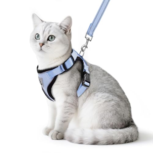 PUPTECK Katzengeschirr und Leine Set Flucht Beweis Reflektierende Katze Walking Geschirr Einstellbare weiche atmungsaktive Mesh-Weste für kleine Haustiere, S PUPTECK Katzengeschirr und Leine Set Flucht Beweis Reflektierende Katze Walking Geschirr Einstellbare weiche atmungsaktive Mesh-Weste für kleine Haustiere, S von PUPTECK