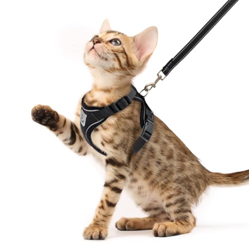PUPTECK Katzengeschirr und Leine Set Flucht Beweis Reflektierende Katze Walking Geschirr Einstellbare weiche atmungsaktive Mesh-Weste für kleine Haustiere, Schwarz, XS von PUPTECK
