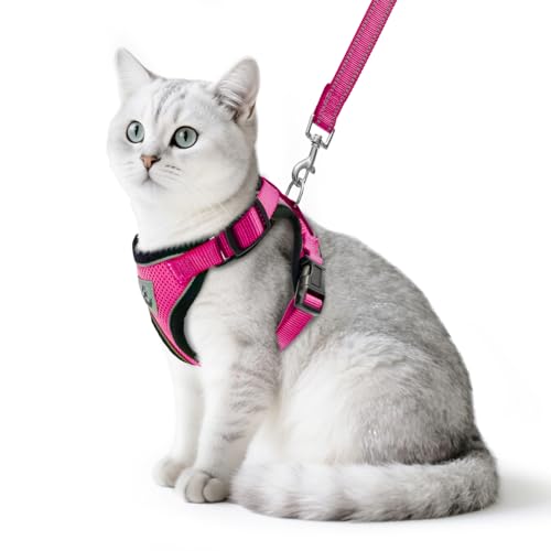PUPTECK Katzengeschirr und Leine Set Flucht Beweis Reflektierende Katze Walking Geschirr Einstellbare weiche atmungsaktive Mesh-Weste für kleine Haustiere, Tiefes Rosa, S PUPTECK Katzengeschirr und Leine Set Flucht Beweis Reflektierende Katze Walking Geschirr Einstellbare weiche atmungsaktive Mesh-Weste für kleine Haustiere, Tiefes Rosa, S von PUPTECK