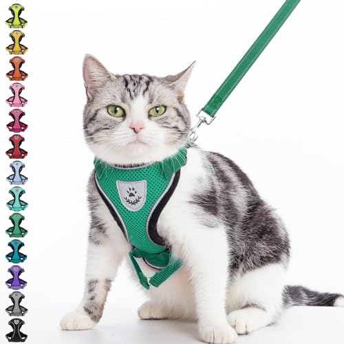 PUPTECK Katzengeschirr und Leine Set Flucht Beweis Reflektierende Katze Walking Geschirr Einstellbare weiche atmungsaktive Mesh-Weste für kleine Haustiere, dunkelgrün, S PUPTECK Katzengeschirr und Leine Set Flucht Beweis Reflektierende Katze Walking Geschirr Einstellbare weiche atmungsaktive Mesh-Weste für kleine Haustiere, dunkelgrün, S von PUPTECK