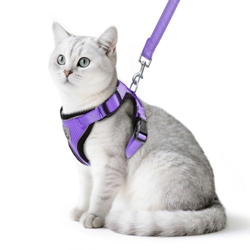 PUPTECK Katzengeschirr und Leine Set Flucht Beweis Reflektierende Katze Walking Geschirr Einstellbare weiche atmungsaktive Mesh-Weste für kleine Haustiere, lila, S von PUPTECK