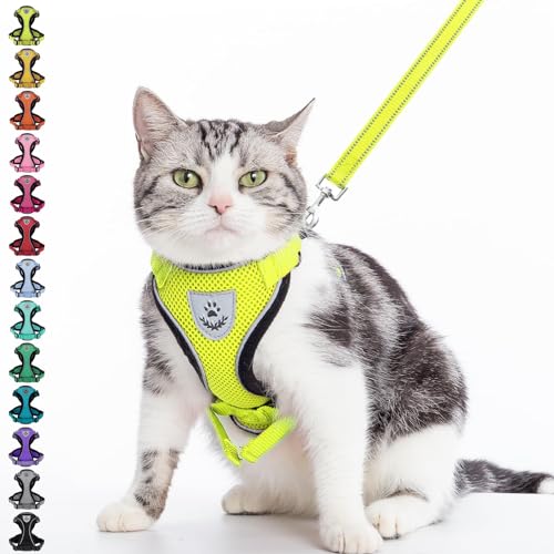PUPTECK Katzengeschirr und Leine Set Flucht Beweis Reflektierende Katze Walking Geschirr Einstellbare weiche atmungsaktive Mesh-Weste für kleine Haustiere gelb, S PUPTECK Katzengeschirr und Leine Set Flucht Beweis Reflektierende Katze Walking Geschirr Einstellbare weiche atmungsaktive Mesh-Weste für kleine Haustiere gelb, S von PUPTECK