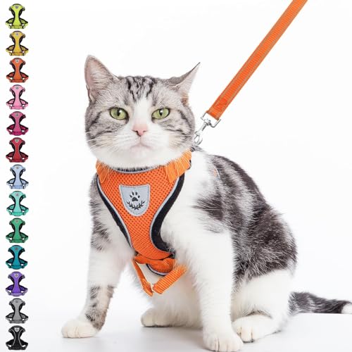 PUPTECK Katzengeschirr und Leine Set Flucht Beweis reflektierende Katze Walking Geschirr einstellbar weiche atmungsaktive Mesh-Weste für kleine Haustiere, Orange, S PUPTECK Katzengeschirr und Leine Set Flucht Beweis reflektierende Katze Walking Geschirr einstellbar weiche atmungsaktive Mesh-Weste für kleine Haustiere, Orange, S von PUPTECK
