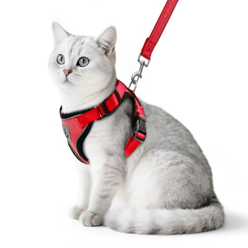 PUPTECK Katzengeschirr und Leine Set Flucht Beweis reflektierende Katze Walking Geschirr einstellbar weiche atmungsaktive Mesh-Weste für kleine Haustiere, Rot, S PUPTECK Katzengeschirr und Leine Set Flucht Beweis reflektierende Katze Walking Geschirr einstellbar weiche atmungsaktive Mesh-Weste für kleine Haustiere, Rot, S von PUPTECK