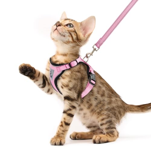 PUPTECK Katzengeschirr und Leine Set Flucht Beweis reflektierende Katze Walking Geschirr einstellbare weiche atmungsaktive Mesh-Weste f¨¹r kleine Haustiere, Hellrosa, XS PUPTECK Katzengeschirr und Leine Set Flucht Beweis reflektierende Katze Walking Geschirr einstellbare weiche atmungsaktive Mesh-Weste f¨¹r kleine Haustiere, Hellrosa, XS von PUPTECK