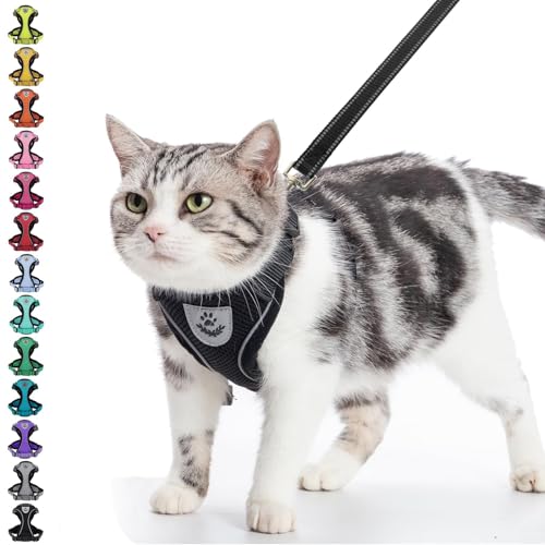 PUPTECK Katzengeschirr und -Leine Set Fluchtbest?ndiges, reflektierendes Katzengeschirr Einstellbare, weiche, atmungsaktive Netzweste f¨¹r kleine Haustiere, Schwarz, L PUPTECK Katzengeschirr und -Leine Set Fluchtbest?ndiges, reflektierendes Katzengeschirr Einstellbare, weiche, atmungsaktive Netzweste f¨¹r kleine Haustiere, Schwarz, L von PUPTECK