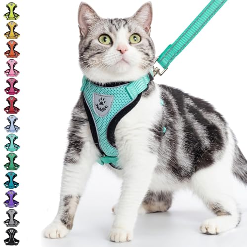 PUPTECK Katzengeschirr und Leine Set Fluchtbest?ndiges reflektierendes Katzengeschirr Einstellbare weiche atmungsaktive Netzweste f¨¹r kleine Haustiere, Aquamarin, L PUPTECK Katzengeschirr und Leine Set Fluchtbest?ndiges reflektierendes Katzengeschirr Einstellbare weiche atmungsaktive Netzweste f¨¹r kleine Haustiere, Aquamarin, L von PUPTECK
