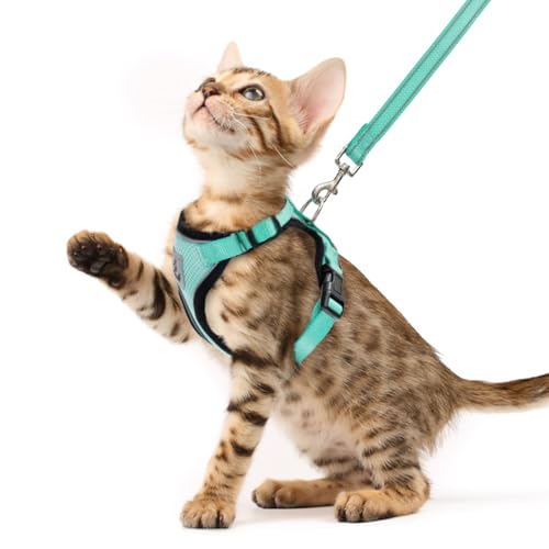 PUPTECK Katzengeschirr und Leine Set Fluchtbest?ndiges reflektierendes Katzengeschirr Einstellbare weiche atmungsaktive Netzweste f¨¹r kleine Haustiere, Aquamarin, XS PUPTECK Katzengeschirr und Leine Set Fluchtbest?ndiges reflektierendes Katzengeschirr Einstellbare weiche atmungsaktive Netzweste f¨¹r kleine Haustiere, Aquamarin, XS von PUPTECK